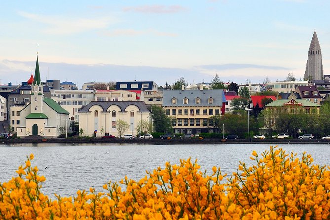 Reykjavik Walking Tour - Walk with a Viking - From Parliament to Harpa and Hallgrímskirkja: the big finale loop