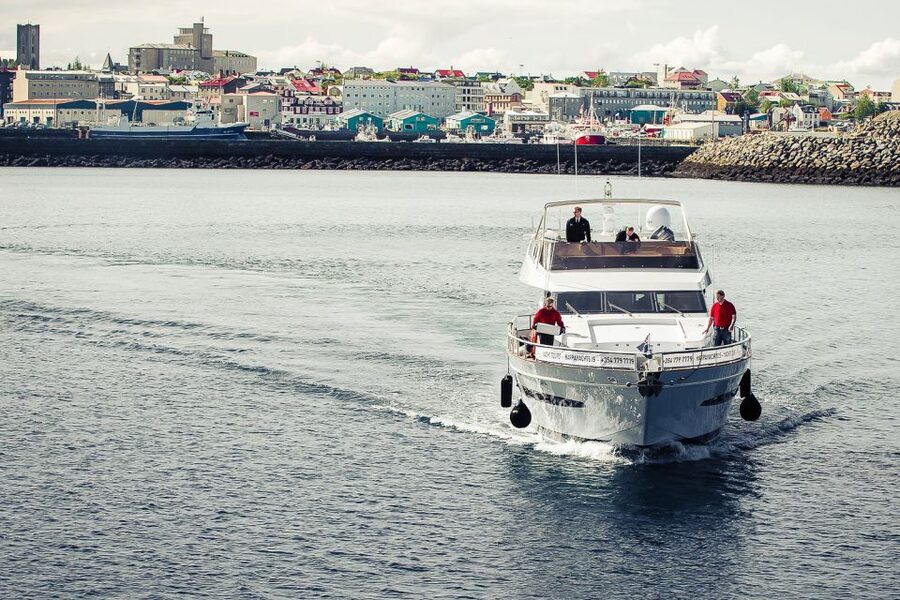 Reykjavik: Whale Watching and Dolphin Watching Yacht Cruise - Key highlights worth planning around