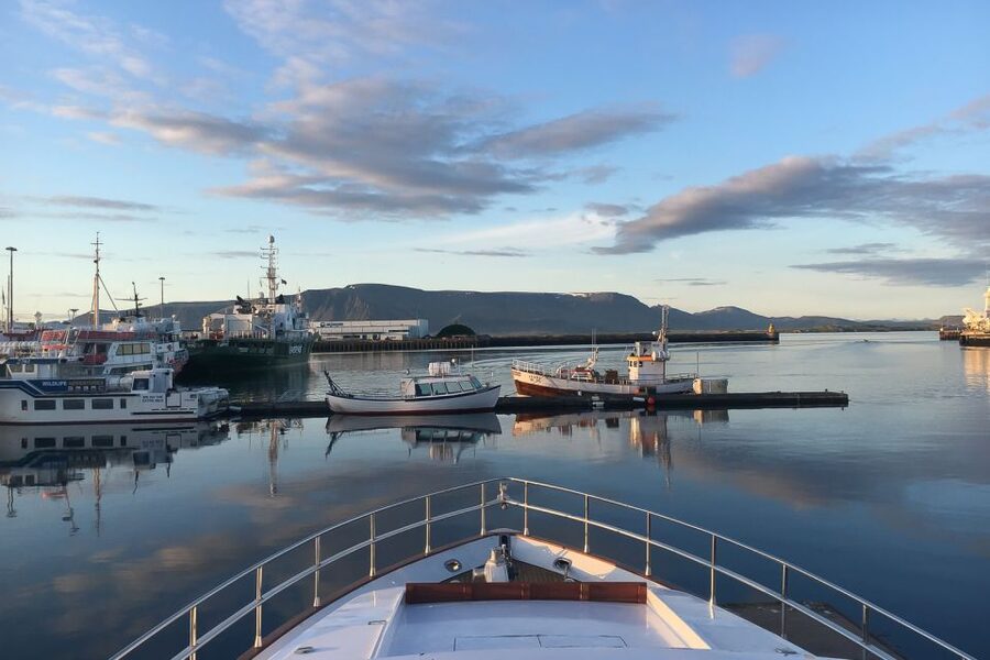 Reykjavik: Whale Watching and Dolphin Watching Yacht Cruise - MY Harpa and MY Amelia Rose: what the cruise feels like from Old Harbor