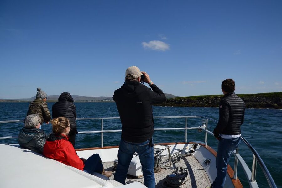Reykjavik: Whale Watching and Dolphin Watching Yacht Cruise - Who should take this Reykjavik cruise, and who might rethink it