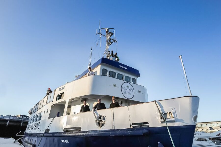 Reykjavík: Whale Watching and Marine Life Cruise - What You Might See: From Humpbacks to Porpoises (Plus the Surprise Add-Ons)