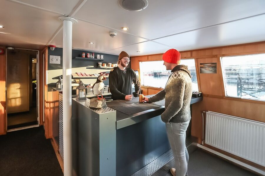 Reykjavík: Whale Watching and Marine Life Cruise - Warmth Strategy: Dressing for the Cold Ocean Off Reykjavík
