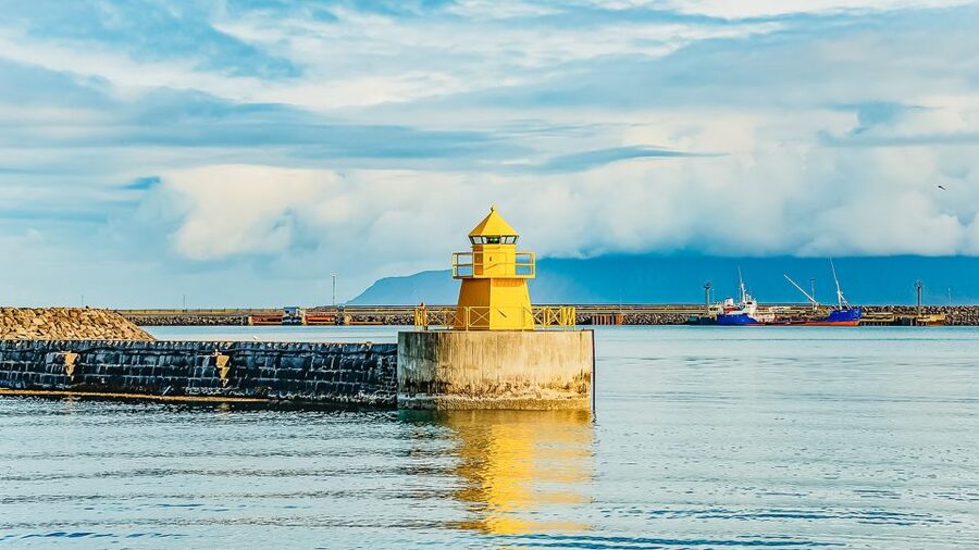 Reykjavík: Whale Watching and Marine Life Cruise - Onboard Comfort and Value: WiFi, Toilets, Snacks, and the Bar