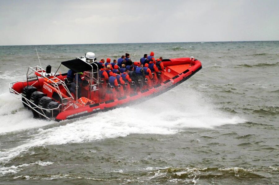 Reykjavik: Whale Watching by RIB Speedboat - Key highlights at a glance