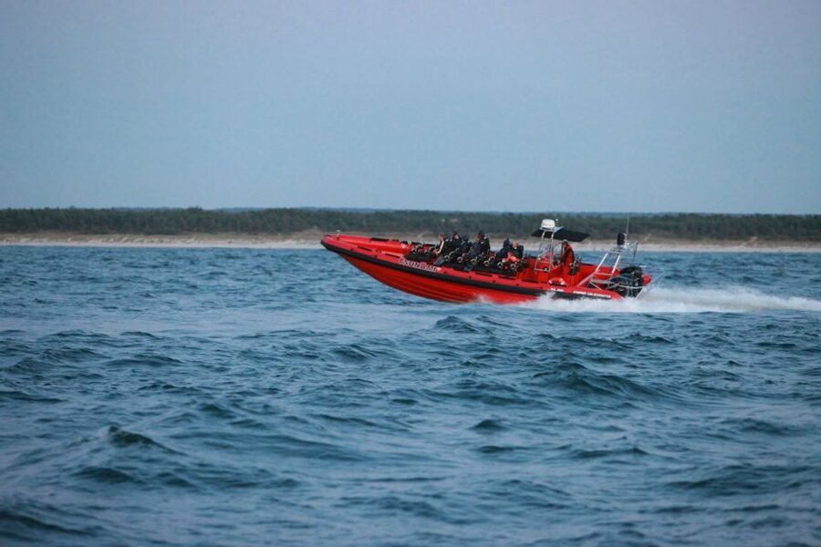 Reykjavik: Whale Watching by RIB Speedboat - Weather, Safety, and the Real Talk About Bumpy Water