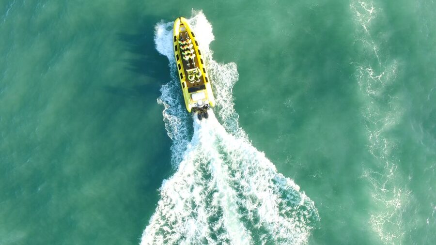 Reykjavik: Whale Watching by RIB Speedboat - Price and Value: is $200 per person fair for this kind of whale hunt?