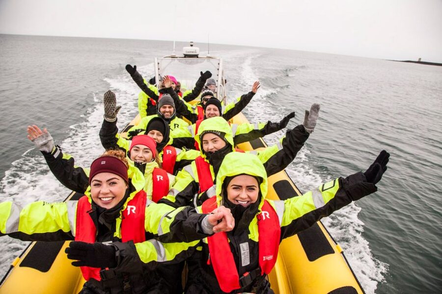 Reykjavik: Whale Watching by RIB Speedboat - Racing Past Engey and Lundey: what you see in Faxaflói Bay