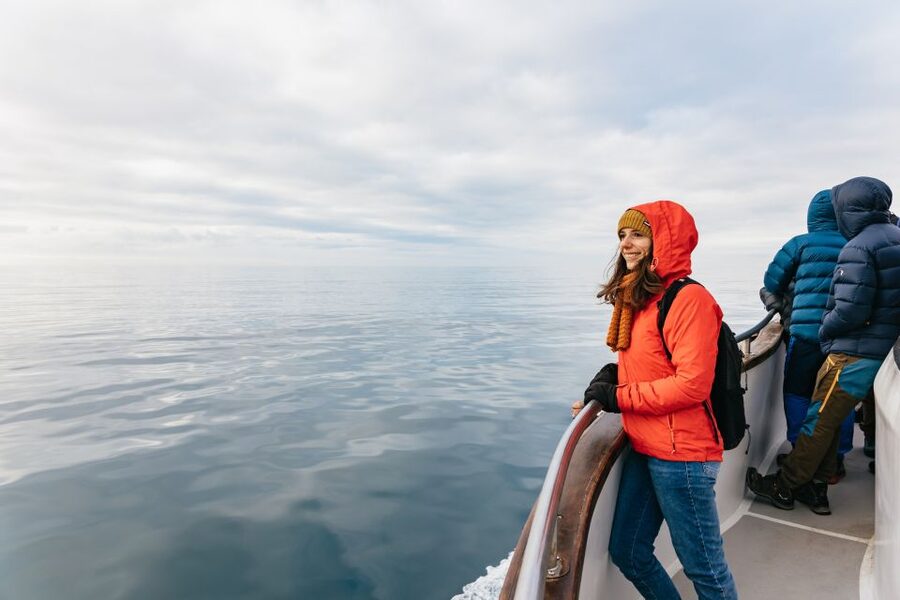 Reykjavík: Whale Watching Cruise on the Amelia Rose Yacht - The cruise in plain terms, what you’ll do for those 3 hours