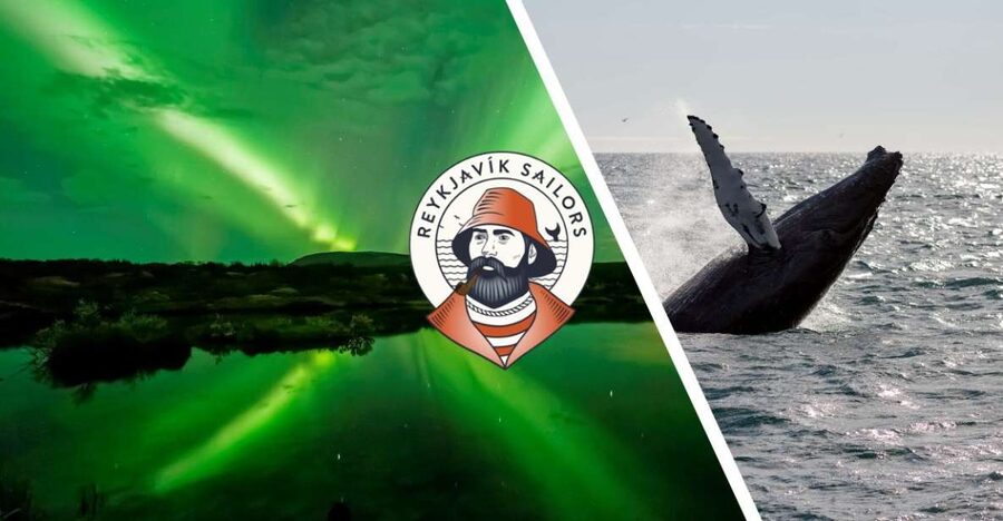 Reykjavik: Whale Watching & Northern Lights Combo Cruise - Day and Night Magic From Reykjavik, Without the Stress