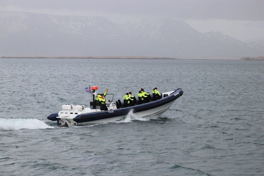 Reykjavik: Whale Watching Tour by RIB Boat - Hunting whales in Faxaflói Bay: what the search feels like