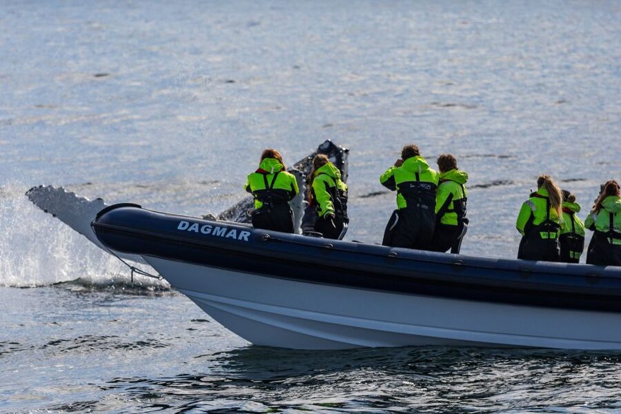 Reykjavik: Whale Watching Tour by RIB Boat - Meeting at Aegisgardur 5E and gearing up in real Reykjavik style