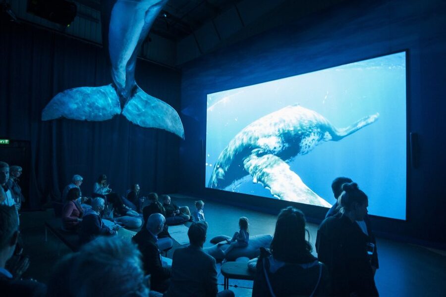 Reykjavik: Whale Watching Tour, Whales of Iceland Exhibition - Faxaflói Bay sightings: how the guide keeps the experience moving