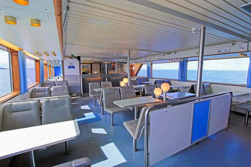Reykjavik: Whale Watching Tour with Expert Guide - On Board Andrea: Heated Indoors, 360 Views, and the Onboard Café