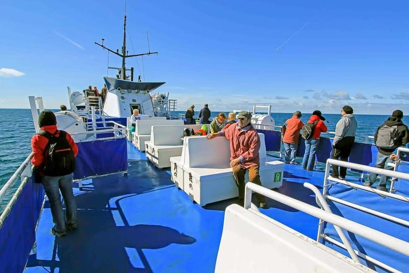 Reykjavik: Whale Watching Tour with Expert Guide - Comfort in Iceland Wind and Spray: Overalls, Deck Choice, and Small Tricks