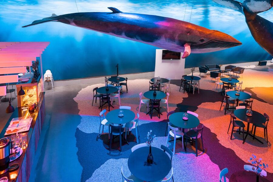 Reykjavik: Whales of Iceland Museum Entrance Ticket - Using the Free Audio Guide Like a Local, with Headphones