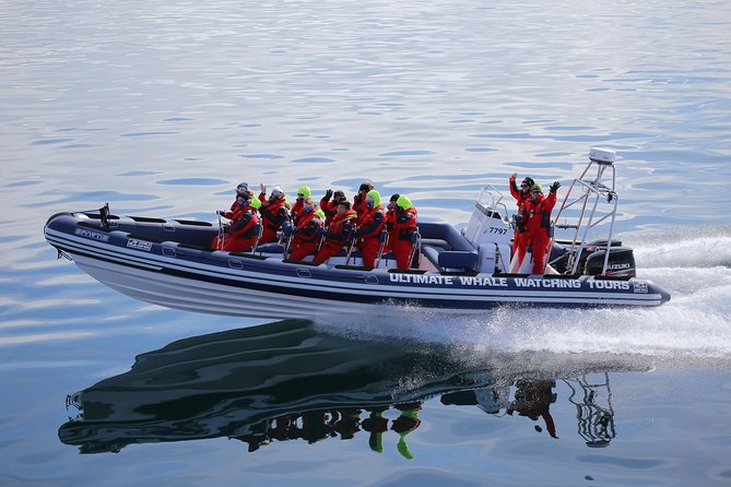 RIB Whale Watching Small-Group Boat Tour from Reykjavik - The sea-side return: photos near Sun Voyager and Harpa