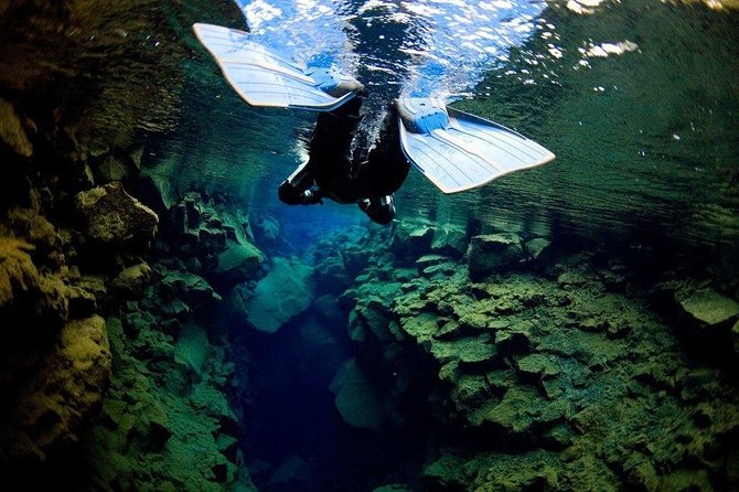 Silfra Fissure Snorkeling From Reykjavík - Free Underwater Photos - Thingvellir introduction: learning the rift before you enter the water