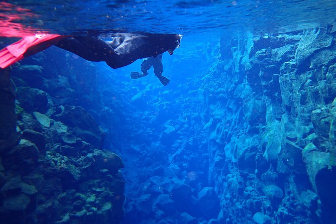 Silfra Fissure Snorkeling From Reykjavík - Free Underwater Photos - Snorkeling between continents: what you actually see