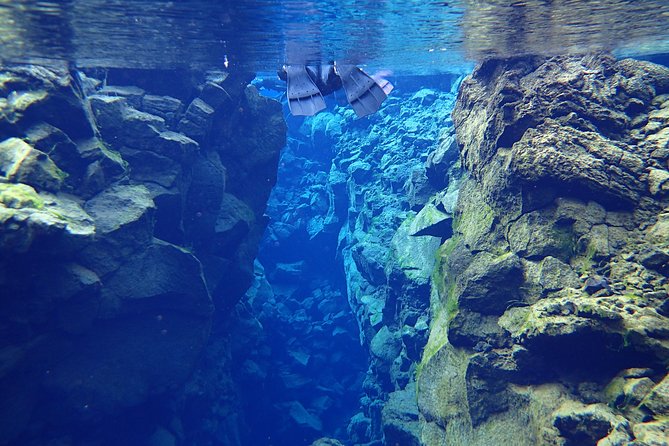 Silfra Fissure Snorkeling From Reykjavík - Free Underwater Photos - Free underwater photos: the plus, the limits, and how to get better shots