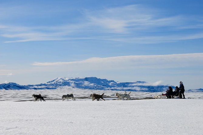 Small Group Husky Sledding Tour from Capital Region - Key highlights worth your attention