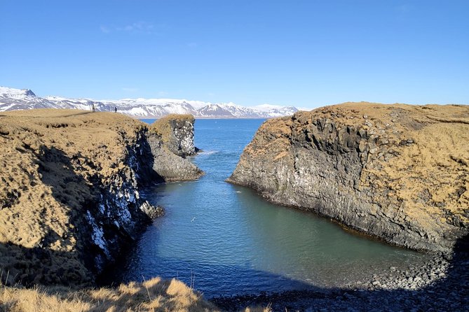 Small-Group Snaefellsnes National Park Day Trip from Reykjavik - Ytri Tunga Beach: seals, farms, and calm time by the shore