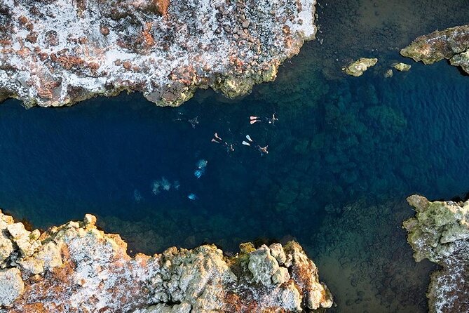 Snorkel the Silfra Fissure-Meet on Location (Free Photos & Cocoa) - Hot chocolate and cookies after, and how to recover fast