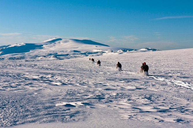 South Coast and Glacier Snowmobiling Day Trip from Reykjavik - Skógar Folk Museum: A Warm Pause With a Different Kind of Iceland