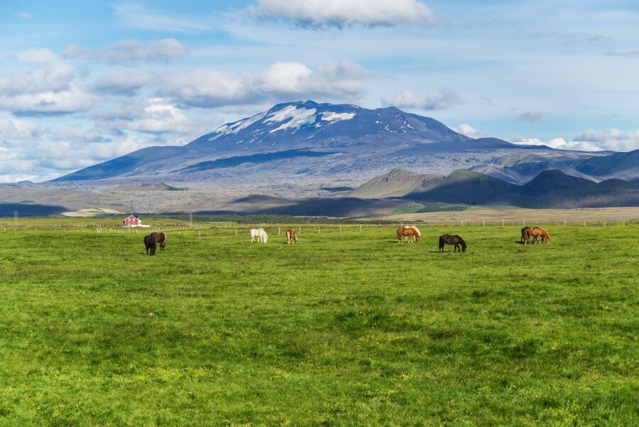 South Coast Classic: Full-Day Tour from Reykjavik - How the 10.5 Hours Actually Feels From Reykjavik