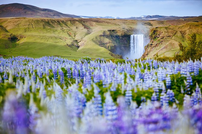 South Coast Iceland from Reykjavik with Guide & Touchscreen Audio - Reynisfjara Black Sand Beach: Big Beauty With Real Wave Danger