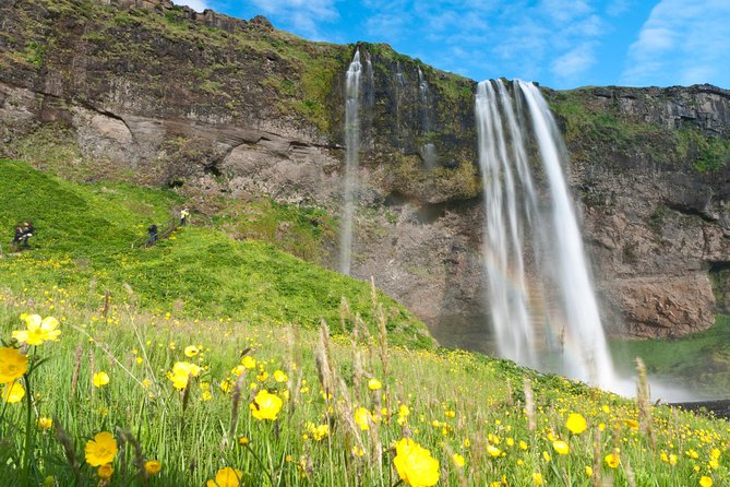 South Coast Sagas: Small Group Tour with Pick-up from Reykjavik - Stop 5: Reynisfjara black sand beach, basalt columns, waves, and lunch time