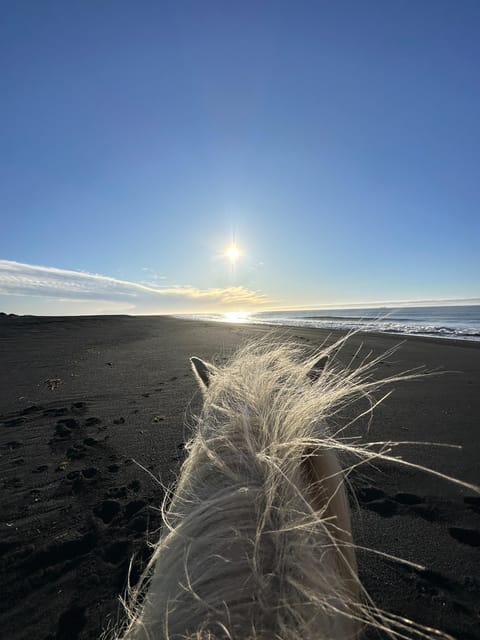 southern Iceland: Black beach riding tour - Key Highlights Worth Your Attention