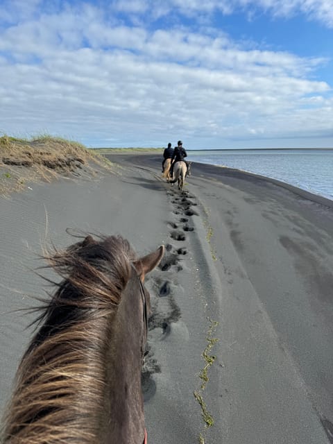 southern Iceland: Black beach riding tour - The 2-Hour Ride: What the Timing Really Gives You