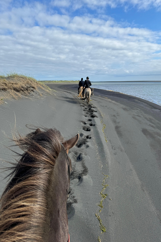 southern Iceland: Black beach riding tour - The Views That Make the Ride Worth It