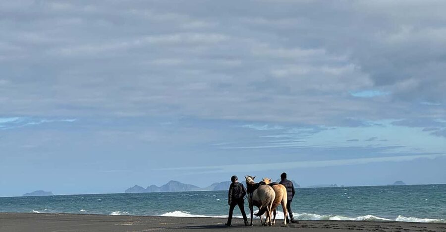 southern Iceland: Black beach riding tour - Clothing and Weather: What You Should Bring (and What Matters Most)