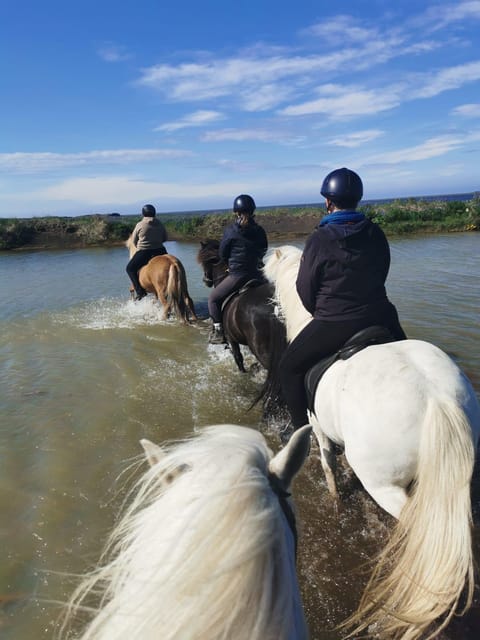 southern Iceland: Black beach riding tour - Safety and Suitability: Age, Weight, and Real Limits
