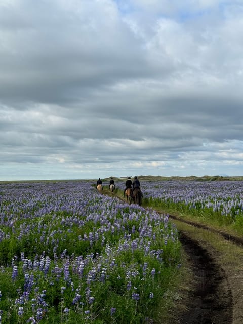 southern Iceland: Black beach riding tour - Getting Ready at Grímsstaðir: Helmets, Rainwear, and Horse Time