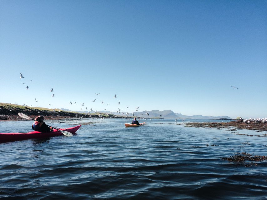Stykkishólmur: 2-Hour Sea Kayak Tour - Key Things That Make This Kayak Tour Worth Your Time