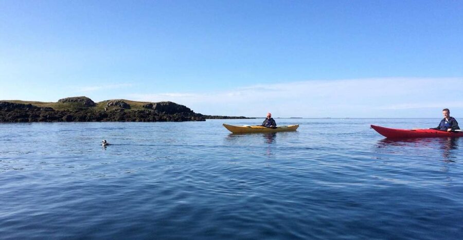Stykkishólmur: 2-Hour Sea Kayak Tour - Why Paddling Breiðafjörður Bay From Stykkishólmur Feels Different