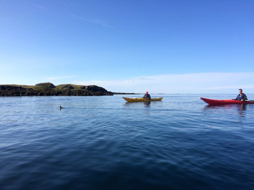 Stykkishólmur: 2-Hour Sea Kayak Tour - Meet at Austurgata 2, Then Gear Up for Real Weather