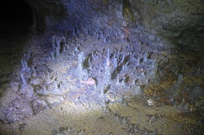 The Cave Explorer - Price and value for a 90-minute cave visit