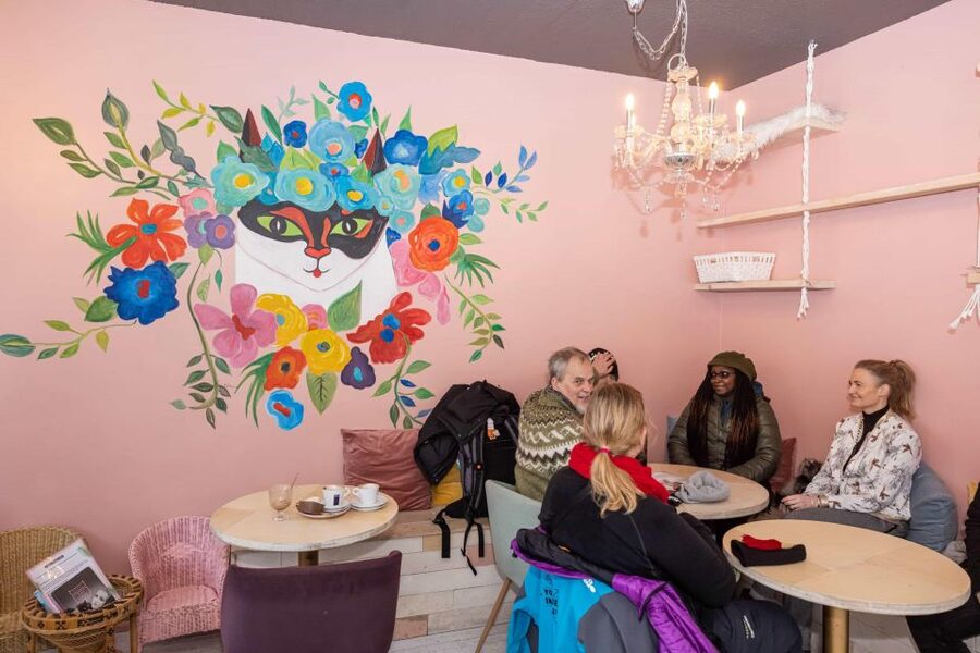 The Private Reykjavik CatWalk - Quick reasons to go
