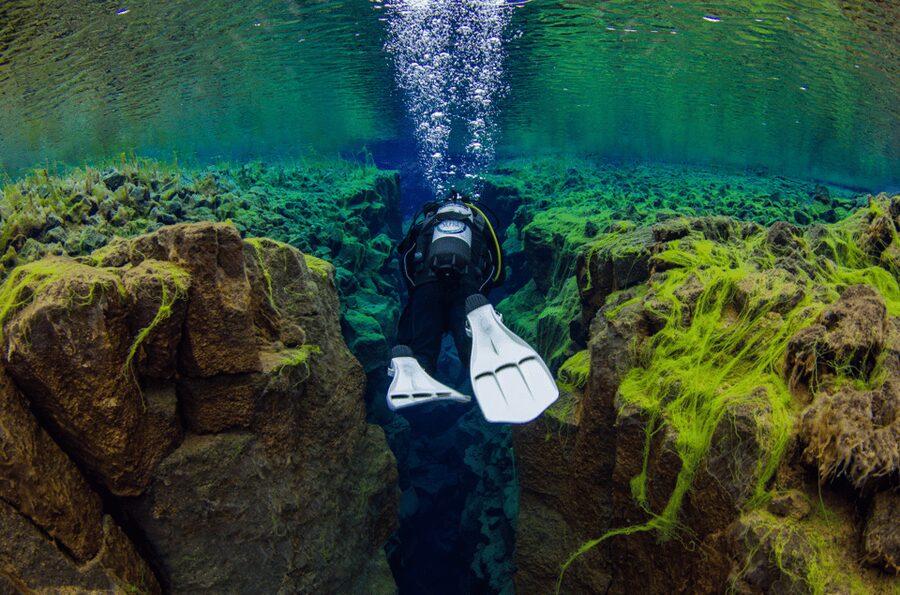 Thingvellir: Silfra Fissure Diving with Optional Pickup - Winter reality check: cold, walk back, and staying comfortable