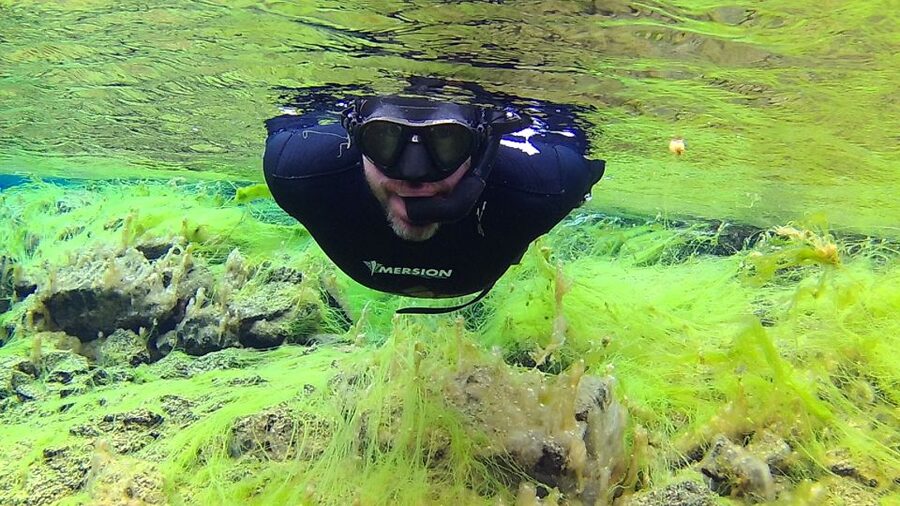 Thingvellir: Silfra Freedive Adevnture with a Guide - Quick Hits: What Makes This Silfra Trip Worth Your Time