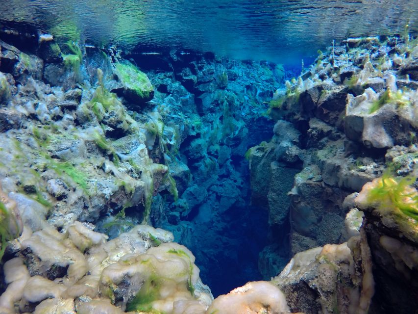 Thingvellir: Silfra Freedive Adevnture with a Guide - Practical Tips Before You Go (So You Enjoy More and Worry Less)