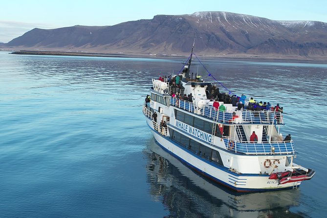 Whale-Watching Boat Tour with Expert Guide from Reykjavik - The Boat Comfort Plan: Deck vs Heated Indoors