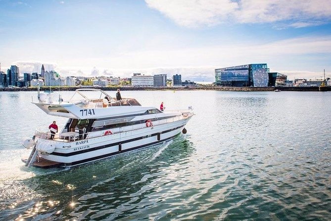 Whale Watching & Dolphin Yacht Cruise - Key points before you go