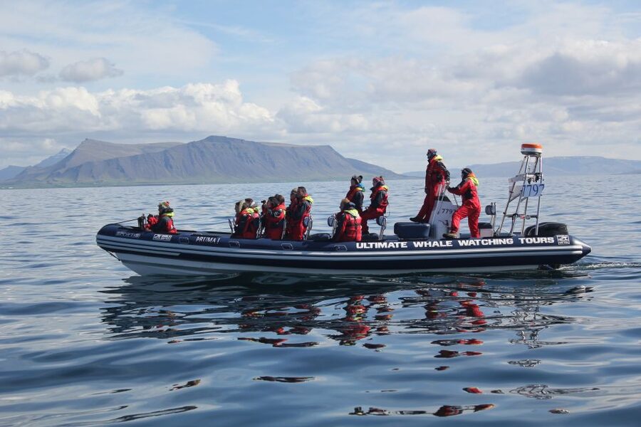 Whale Watching in Reykjavik by Speedboat - Sun Voyager and Harpa from the water: what the return cruise adds