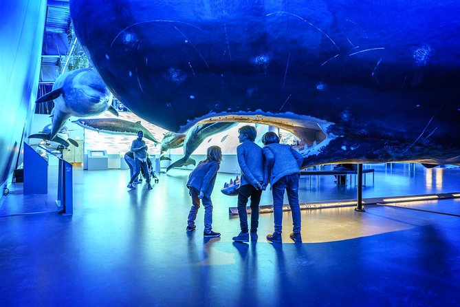 Whales Of Iceland Admission Ticket - Why This Whale Museum Works So Well in Reykjavik