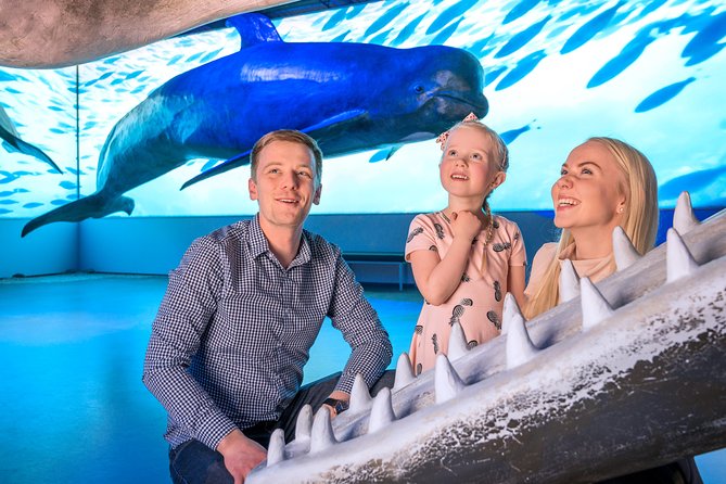 Whales Of Iceland Admission Ticket - The Indoor Layout: Sound, Anatomy, and Behavior