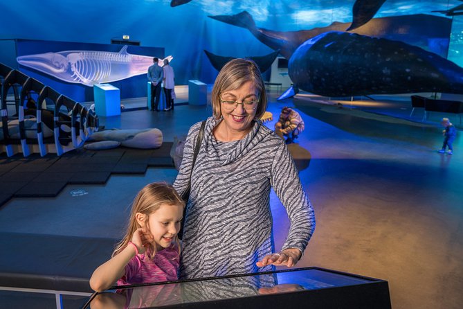 Whales Of Iceland Admission Ticket - Guided Tours in English at 11:00 and 15:00